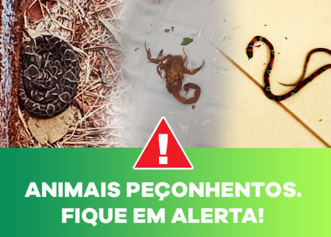 fique-em-alerta-aos-animais-peconhentos